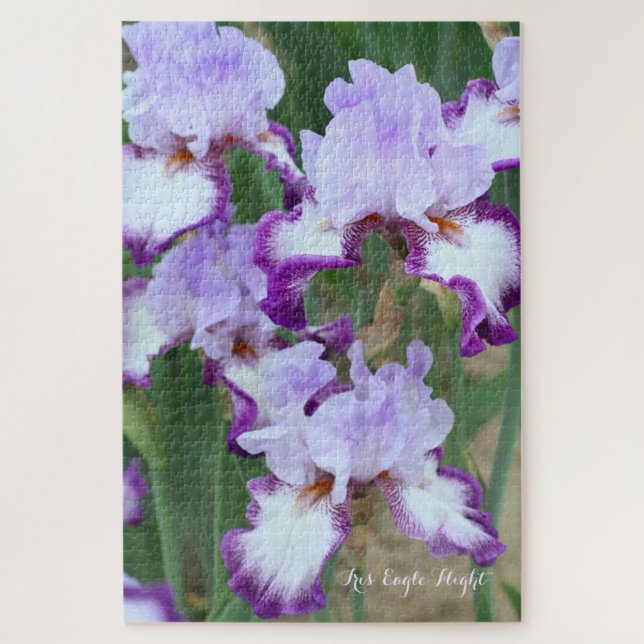 Quebra-cabeça Iris"Voo Eagle" [quebra-cabeça de Jigsera: 1014P] (Vertical)