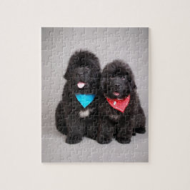 Quebra-cabeça Irmãos Nuwfie