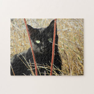 Quebra-cabeça Ive moldado ou adiciona sua própria foto