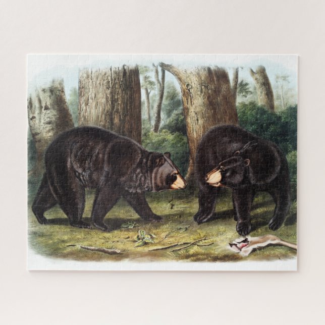 Quebra-cabeça J.W. Audubon - Ursus Americanus Black Bear (Horizontal)