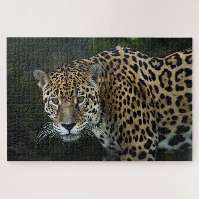 Quebra-cabeça Jaguar (Horizontal)