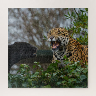 Quebra-cabeça Jaguar Growth