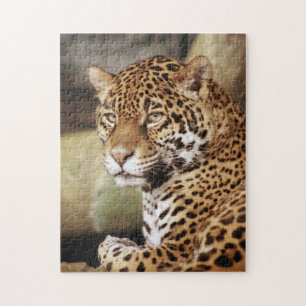 Quebra-cabeça Jaguar puzzle