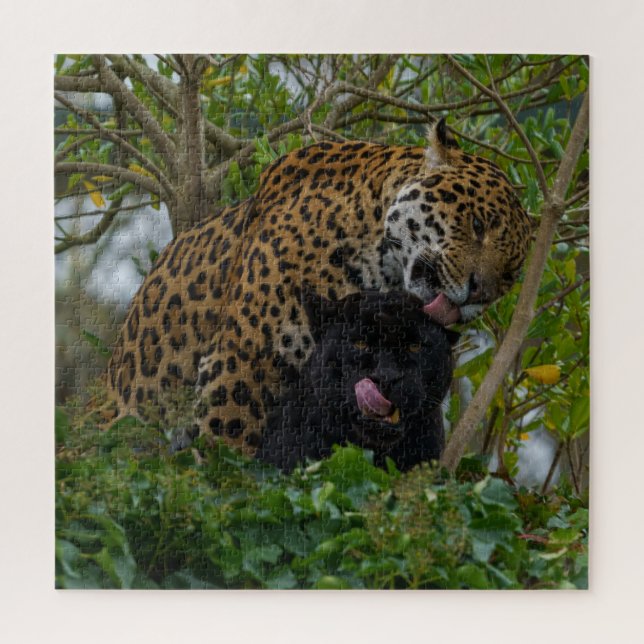Quebra-cabeça Jaguares Apaixonados (Vertical)