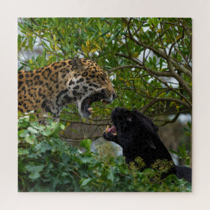 Quebra-cabeça Jaguares Apaixonados