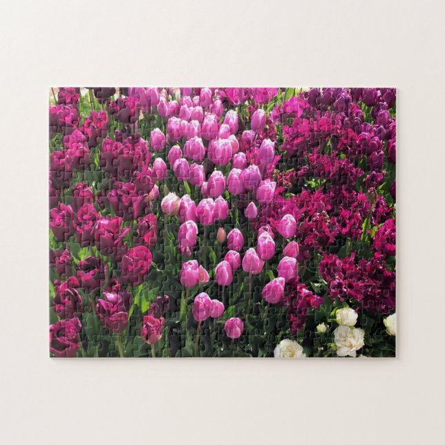 Quebra-cabeça Jardim das Tulipas Roxas (Horizontal)