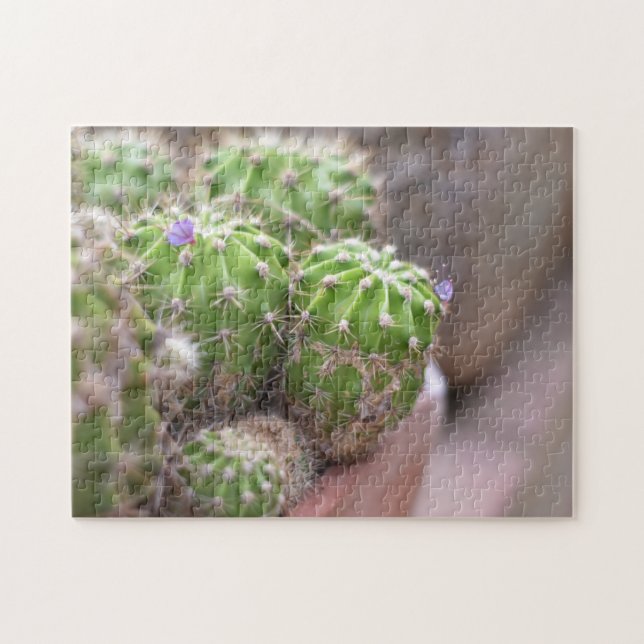 Quebra-cabeça Jardim de Fotografia da Flor Cactus Cactos (Horizontal)