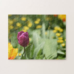 Quebra-cabeça Jardim de Fotografia da Flor do Festival de Tulip