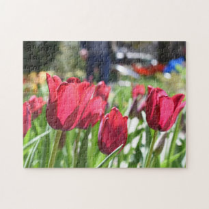 Quebra-cabeça Jardim de Fotografia da Flor do Festival de Tulip