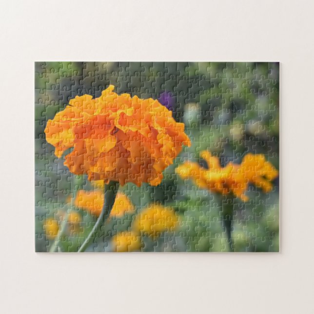 Quebra-cabeça Jardim de Fotografia da Flor Laranja Marigold (Horizontal)
