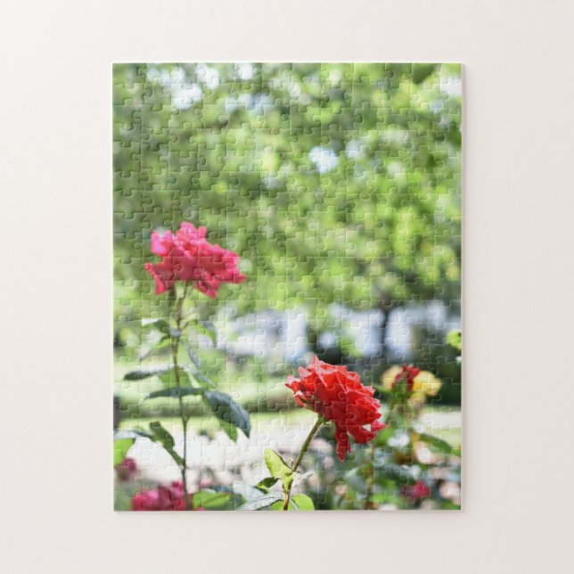 Quebra-cabeça Jardim de Fotografia da Flor Rosa vermelha (Vertical)
