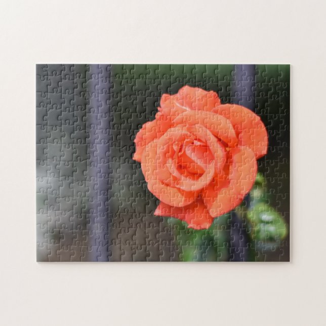 Quebra-cabeça Jardim de Fotografia da Flor rosa vermelha (Horizontal)