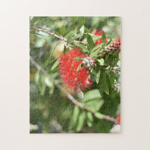 Quebra-cabeça Jardim de Fotografia da Flores Vermelhas