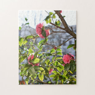 Quebra-cabeça Jardim de Fotografia de Flores Rosa