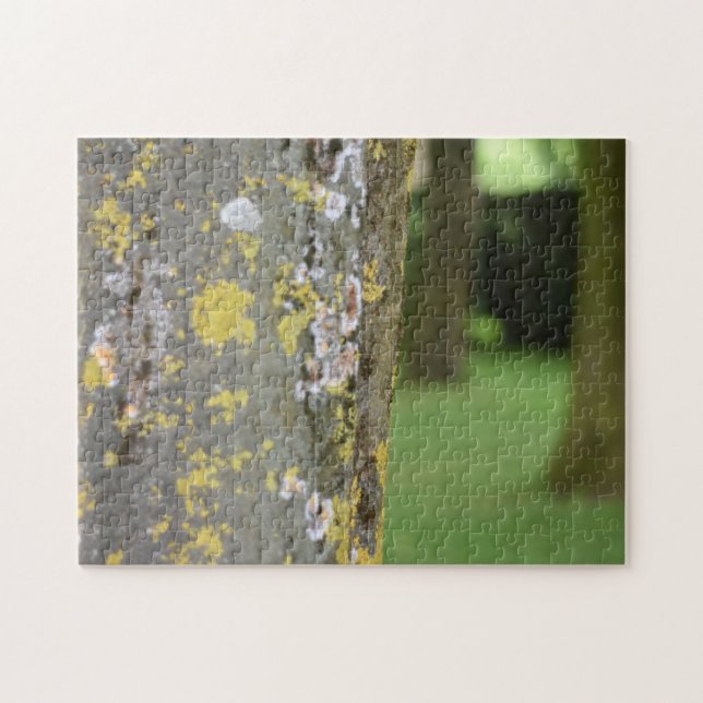 Quebra-cabeça Jardim de Fotografia Natural de Mossy Tree Woods (Horizontal)