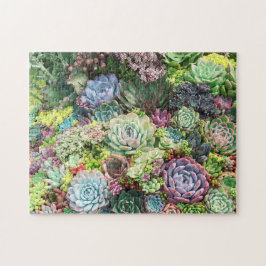 Quebra-cabeça Jardim de Suculentos Coloridos