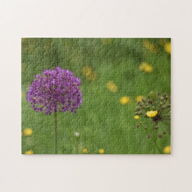 Quebra-cabeça Jardim Fotográfico Puro Allium (Horizontal)