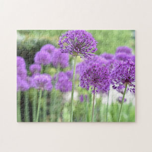 Quebra-cabeça Jardim Fotográfico Puro Allium