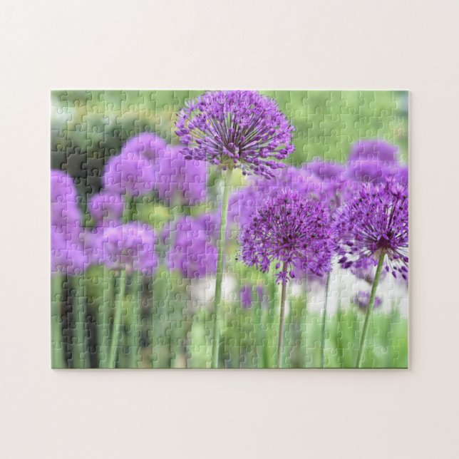 Quebra-cabeça Jardim Fotográfico Puro Allium (Horizontal)