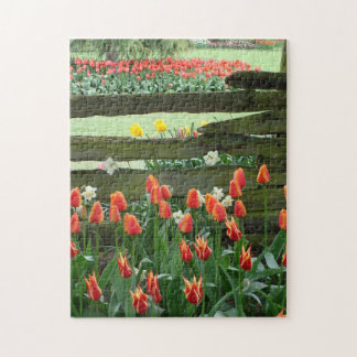 Quebra-cabeça Jardins de Tulipas, 28 cm x 35,5 cm,