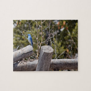 Quebra-cabeça Jay Azul Montanha - 8x10 - 110 pcs