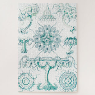 Quebra-cabeça Jellyfish, Discomedusae by Ernst Haeckel