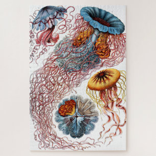 Quebra-cabeça Jellyfish (Scheibenquallen) por Ernst Haeckel