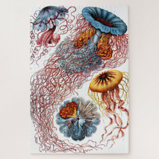 Quebra-cabeça Jellyfish (Scheibenquallen) por Ernst Haeckel