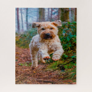 Quebra-cabeça Jigsaw do Cão Terrier Wheaten.
