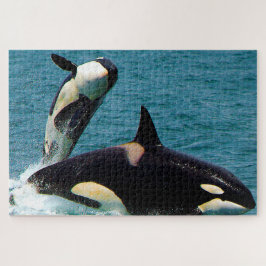 Quebra-cabeça Jigsaws Orcas ou Baleias Assassinas
