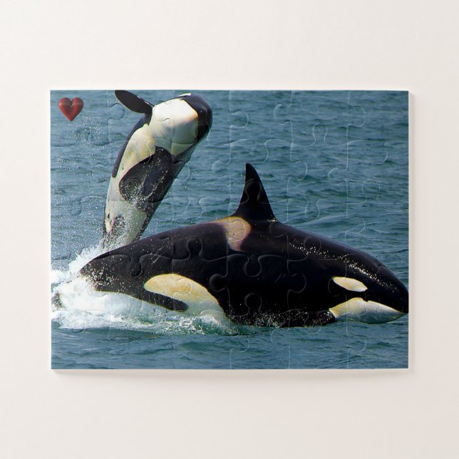 Quebra-cabeça Jigsaws Orcas ou Baleias Assassinas (Horizontal)