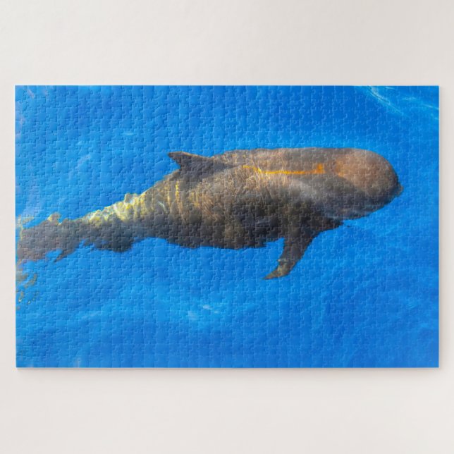 Quebra-cabeça Jigsaws Pilot Whales (Horizontal)
