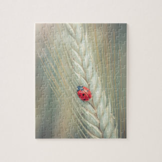 Quebra-cabeça Joaninha