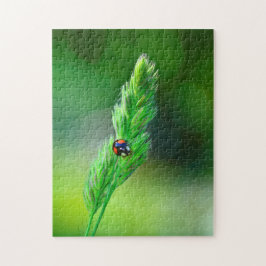 Quebra-cabeça Joaninha preta a caminho....