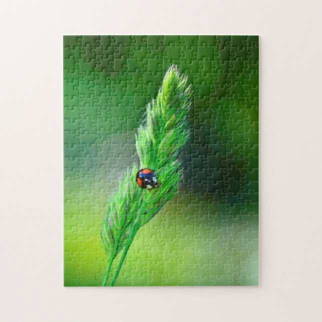 Quebra-cabeça Joaninha preta a caminho.... (Vertical)