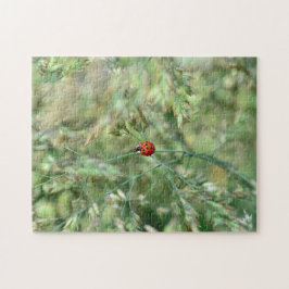 Quebra-cabeça Joaninhas a caminho....