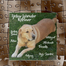 Quebra-cabeça Jogo de Traços do Retriever Labrador Amarelo