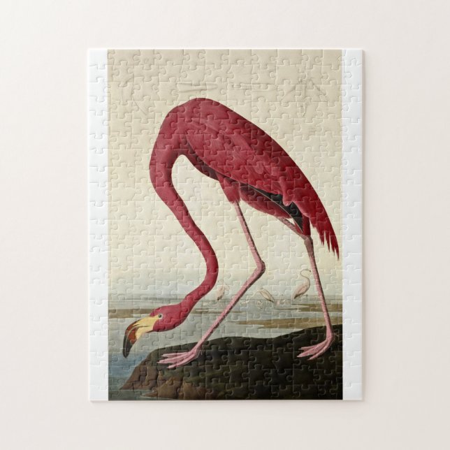 Quebra-cabeça John James Audubon - Flamingo Americano (Vertical)