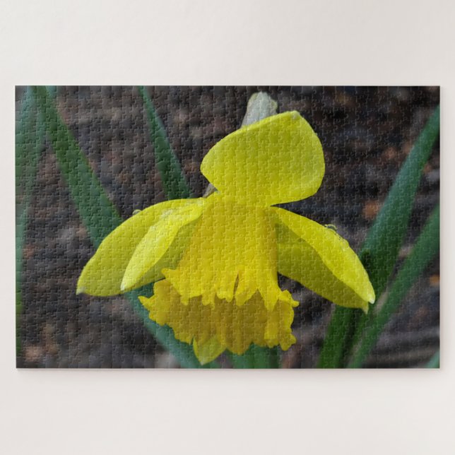 Quebra-cabeça Jonquil em primavera (Horizontal)