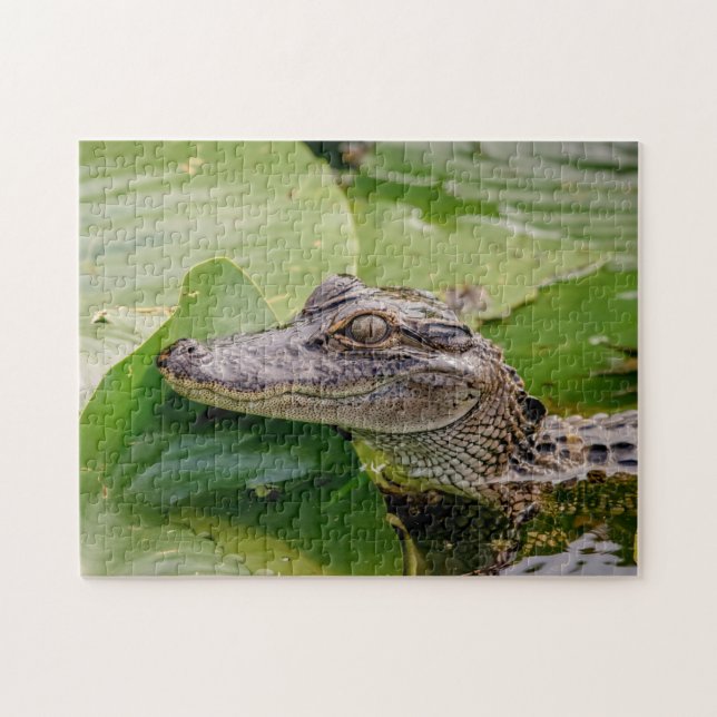 Quebra-cabeça Jovem Alligator (Horizontal)