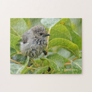 Quebra-cabeça Jovem Bushtit Mole e Bonita Songbird em Laurel