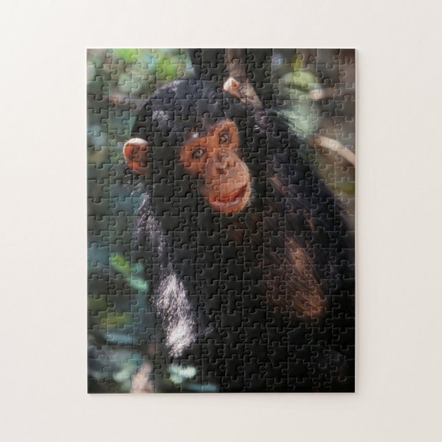 Quebra-cabeça Jovem Chimpanzé (Vertical)