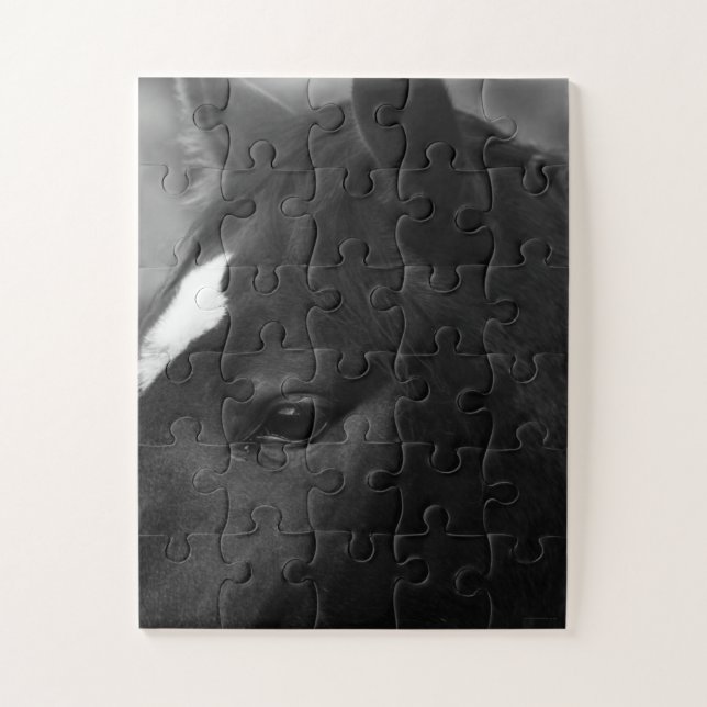 Quebra-cabeça Jpcna do cavalo 11x14 30pc (Vertical)