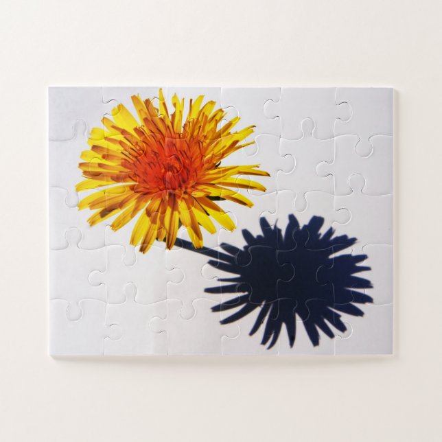 Quebra-cabeça jpcnm Dandelion e Shadow 11x14 30pc (Horizontal)