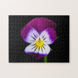 Quebra-cabeça jpcnm violet Flower 11x14 252pc