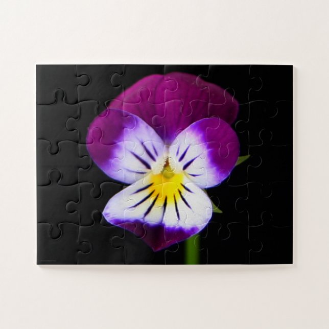 Quebra-cabeça jpcnm violet Flower 11x14 30pc (Horizontal)