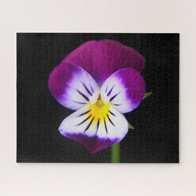 Quebra-cabeça jpcnm violet Flower 16x20 520pc (Horizontal)