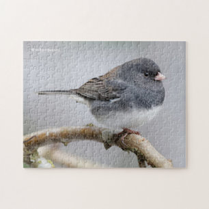 Quebra-cabeça Junco de Olhos Escuros com Cor Escuros na Árvore d