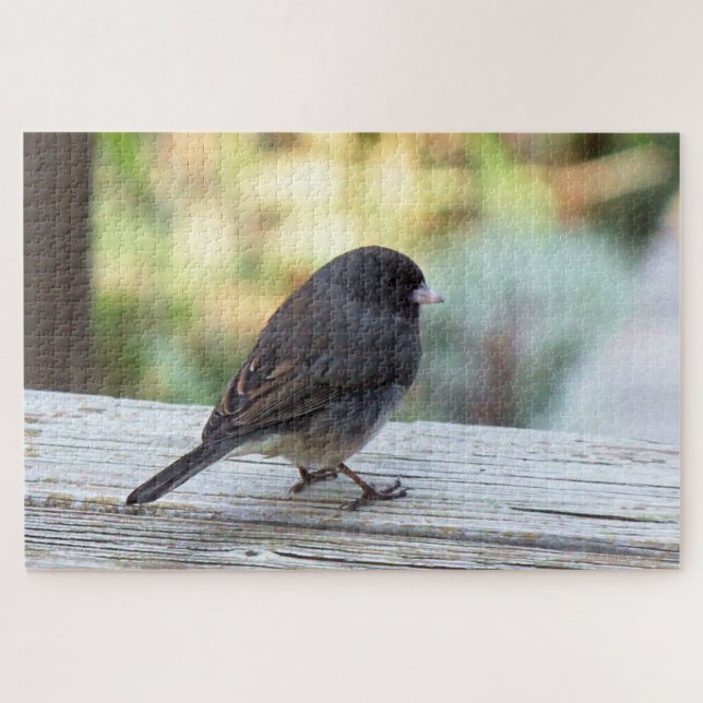 Quebra-cabeça Junco de olhos negros (Horizontal)