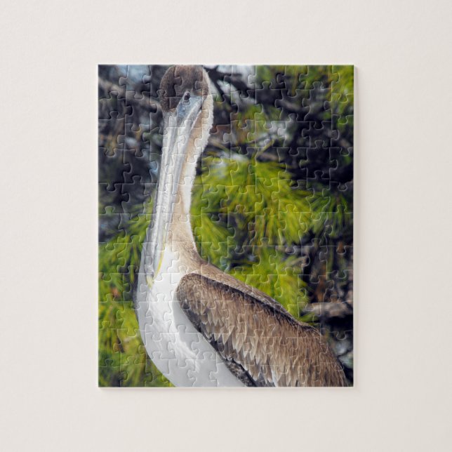 Quebra-cabeça Juvenile Brown Pelican (Vertical)